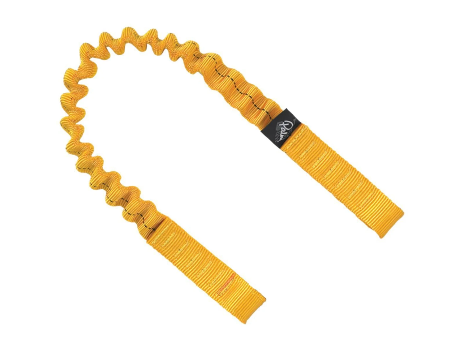 Palm Cowtail 2 Palm Cowtail – Bild 2