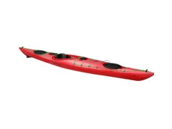 Point 65 Whisky 16 Tourer Ruder/Skeg Rot